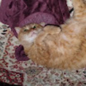 Meet your Posher, Hilary